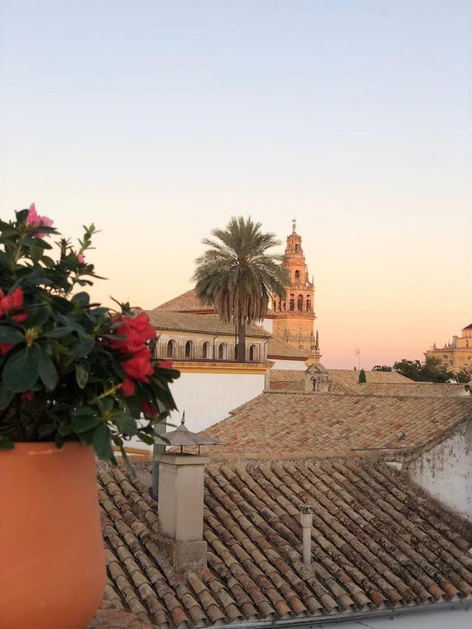 El Espejo De La Mezquita * Córdoba
